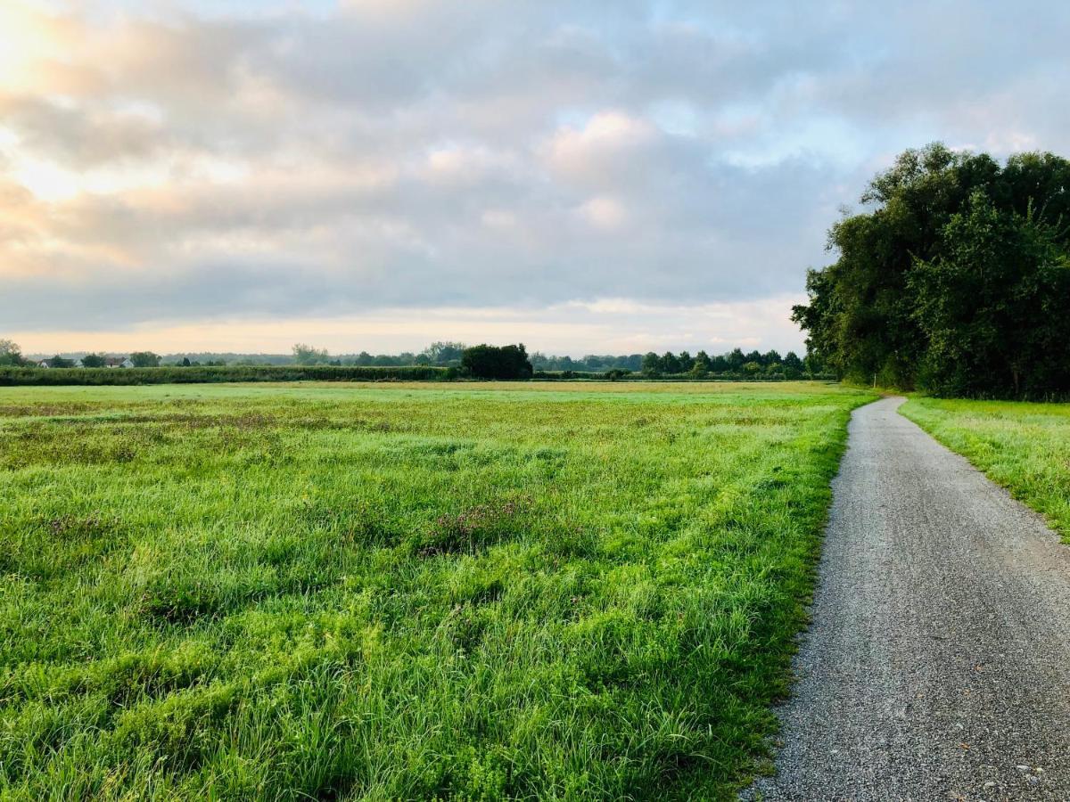 Wohlfuehl-Apartment Sandmuschel Im Naturschutzgebiet Mit Privatstrand FDH Eksteriør bilde